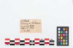 Etikett zu Bronzemehrkopfnadel (NHMW-PRAE-025606)